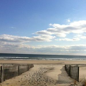 Meet your Posher, Lucy